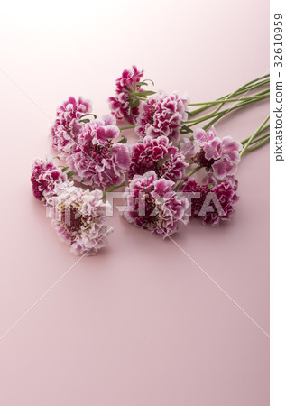 Matsumushisou 32610959