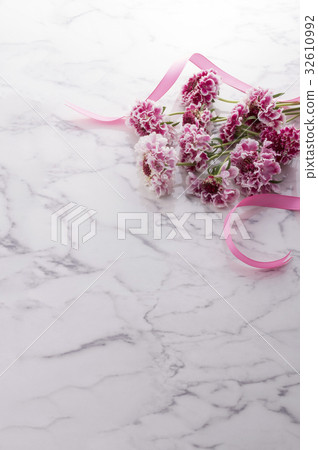 Matsumushisou 32610992