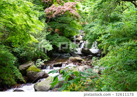 Atami plum garden Hatsukawa Kiryu after the rain 32611178