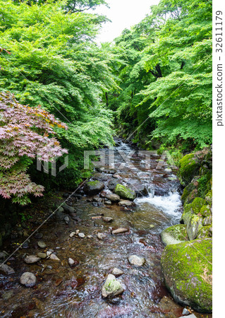 Atami plum garden Hatsukawa Kiryu after the rain 32611179