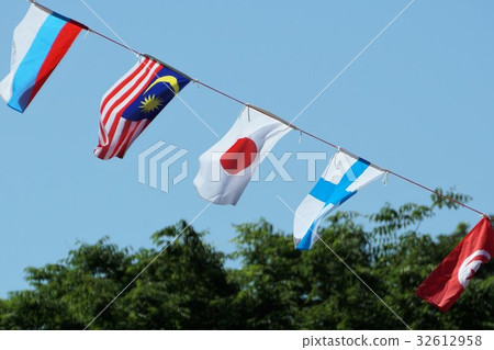 The national flag 32612958