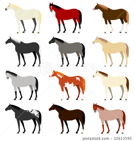 Various hair color of horse 32613595
