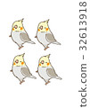 cockatiel 32613918