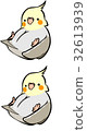 cockatiel 32613939