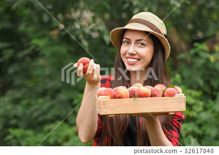 woman gardener holding peaches woman gardener holding peaches 32617848