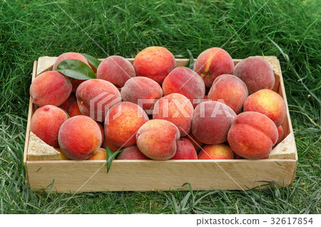 crate of fresh ripe peaches crate of fresh ripe peaches 32617854
