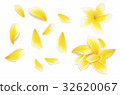 Yellow frangipani flower set with Petals on white  32620067