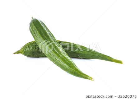 Angled loofah on a white background Angled loofah on a white background 32620078