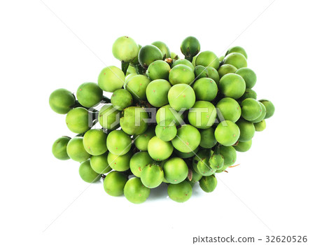 Solanum torvum Sw on a white background Solanum torvum Sw on a white background 32620526
