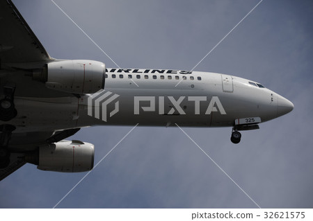 JAL飛機機頭 32621575