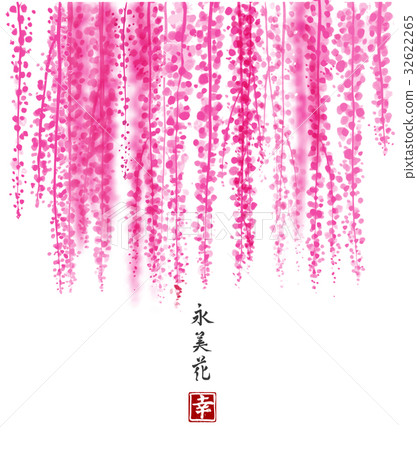 Pink Wisteria hand drawn with ink on white Pink Wisteria hand drawn with ink on white 32622265