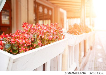 Street cafeteria flowers pot with petunia Street cafeteria flowers pot with petunia 32623332