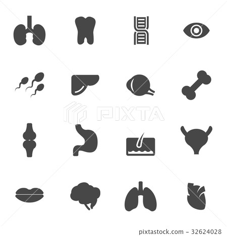 Vector black anatomy icons set - Stock Illustration [32624028] - PIXTA
