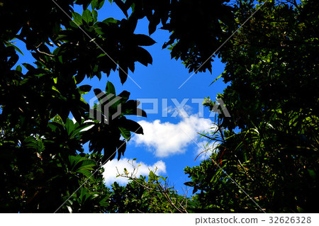 Leafs frame with copy space in the middle 32626328