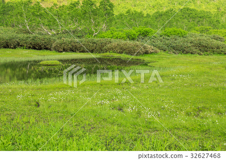 Tsugaike Nature Park Tsugaike Nature Park 32627468