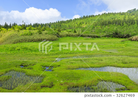 Tsugaike Nature Park 32627469