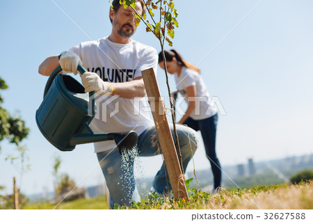 Motivated hardworking man restoring environmental Motivated hardworking man restoring environmental 32627588