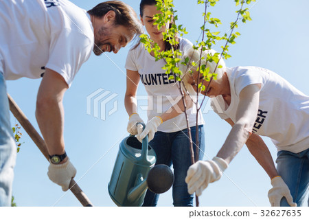 Neat productive team putting young plants in the Neat productive team putting young plants in the 32627635