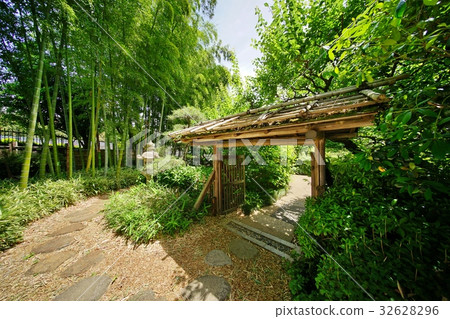 Garden with bamboo Garden with bamboo 32628296