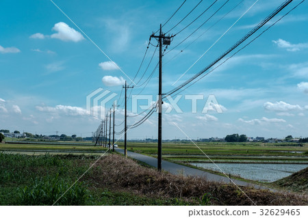 Telephone pole, countryside, sky 32629465