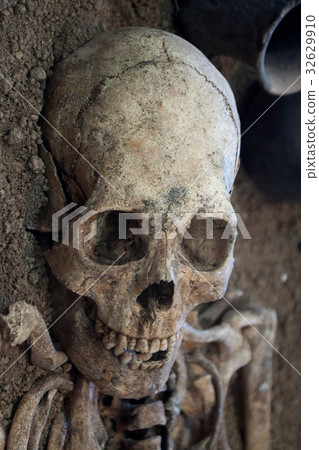 Archaeological excavations of an ancient human Archaeological excavations of an ancient human 32629910