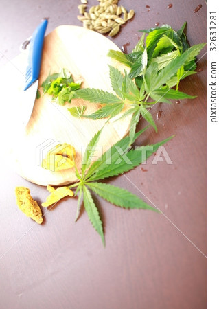 Fresh hemp leaves cannabis Fresh hemp leaves cannabis 32631281