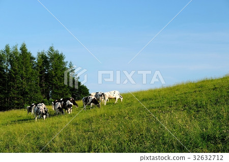 Naitai Takahara cattle ranch (Kamishihoro Town) Naitai Takahara cattle ranch (Kamishihoro Town) 32632712