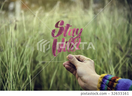 Field green grassland natural peaceful Field green grassland natural peaceful 32633161