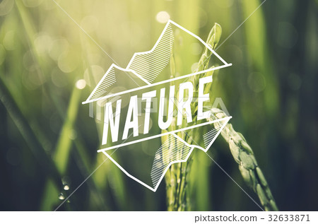 Alternative Farming Sustainable Nature Concept Alternative Farming Sustainable Nature Concept 32633871