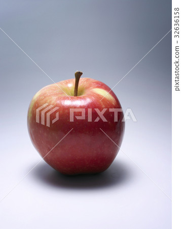 32636158