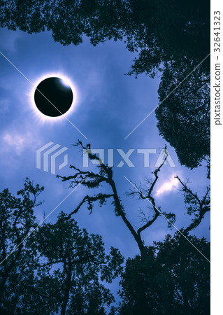 Scientific natural phenomenon, total solar eclipse Scientific natural phenomenon, total solar eclipse 32641323