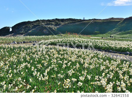 釘子樹Kakisen節日-189585 32641558