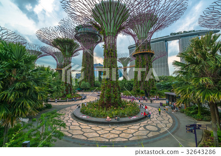 Supertree Grove in Gardens by the Bay, Singapore 32643286