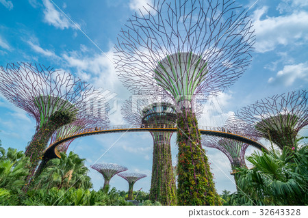 Singapore Supertrees in garden by the bay 32643328