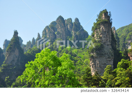 Quartz sandstone pillar in Zhangjiajie in China Quartz sandstone pillar in Zhangjiajie in China 32643414