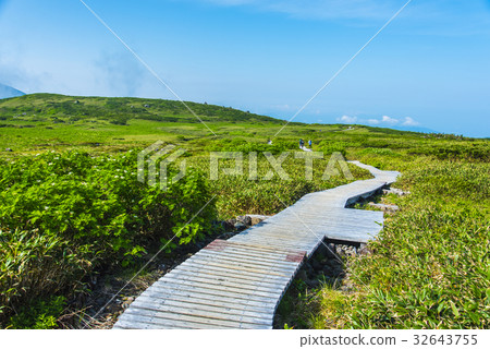 Kasumigahara and wooden path 32643755