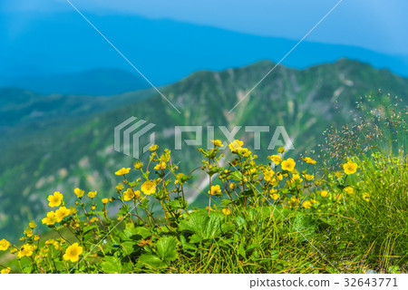 Nikkousige (Zentika) and Hakusan Shakurindake 32643771