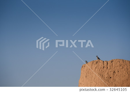 two birds perch on clay wall 32645105