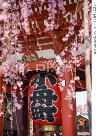 Senso-ji (Asakusa) Temple in cherry blossom season Senso-ji (Asakusa) Temple in cherry blossom season 32645223