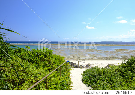 Nakamoto coast at the time of Kuroshima low tide Nakamoto coast at the time of Kuroshima low tide 32646619