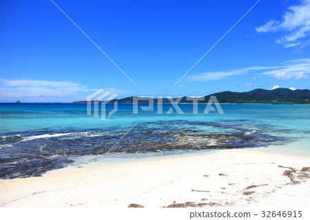 榻榻米海岸 32646915