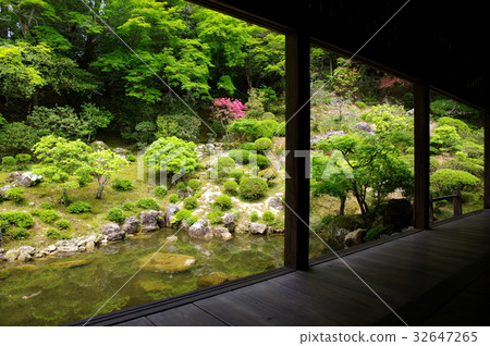 Bamboo Temple Scenic Spot Garden 32647265