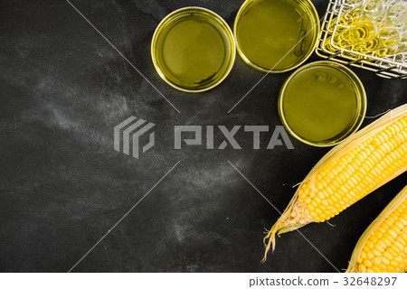 study gmo food information invented science 32648297