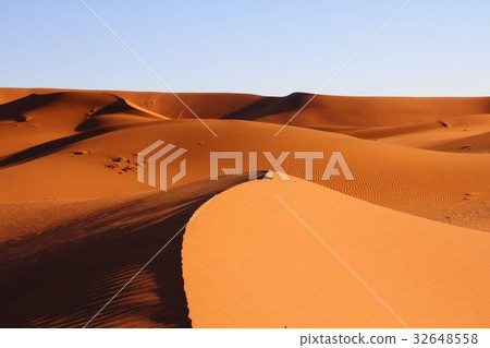 Namib Desert 32648558