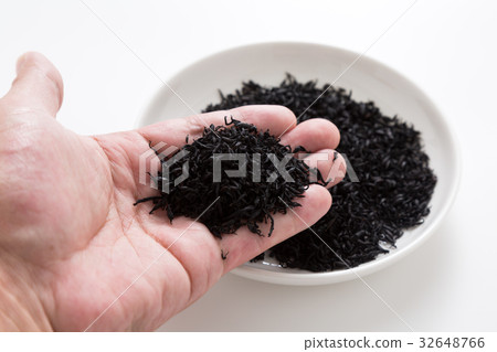幹Hijiki 幹Hijiki 32648766