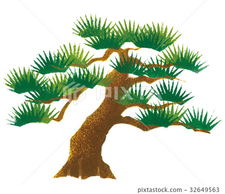 杉木日本人的例證手畫 32649563