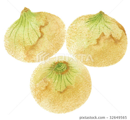 手畫菜的蔥的例證 32649565