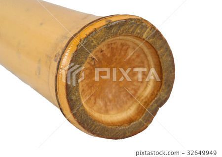 Shaker Bamboo percussion isolated 32649949