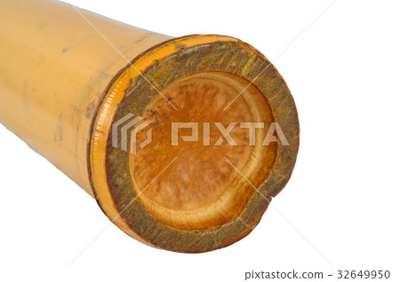 Shaker Bamboo percussion isolated Shaker Bamboo percussion isolated 32649950