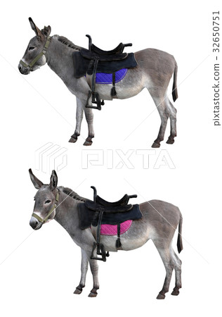 donkey donkey 32650751